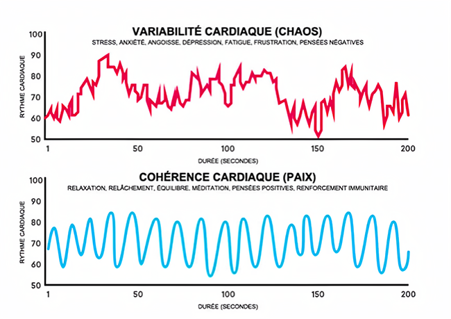 Graphique sur la cohérence cardiaque